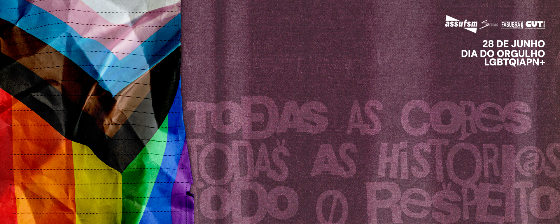 Dia Internacional do Orgulho LGBTQIAPN+ é celebrado neste domingo (28)